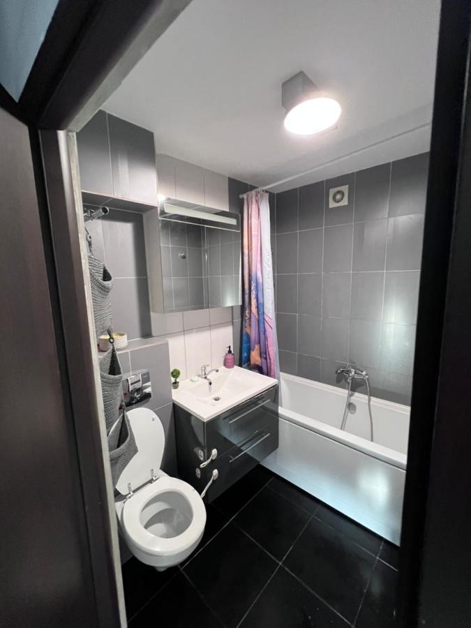 יאשי 3 Rooms Apartment Palace View מראה חיצוני תמונה